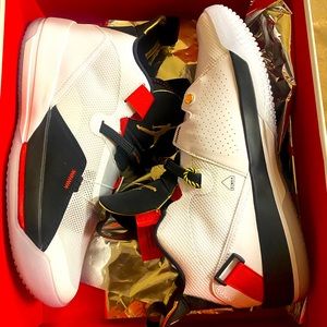Air Jordan 33 Future of Flight